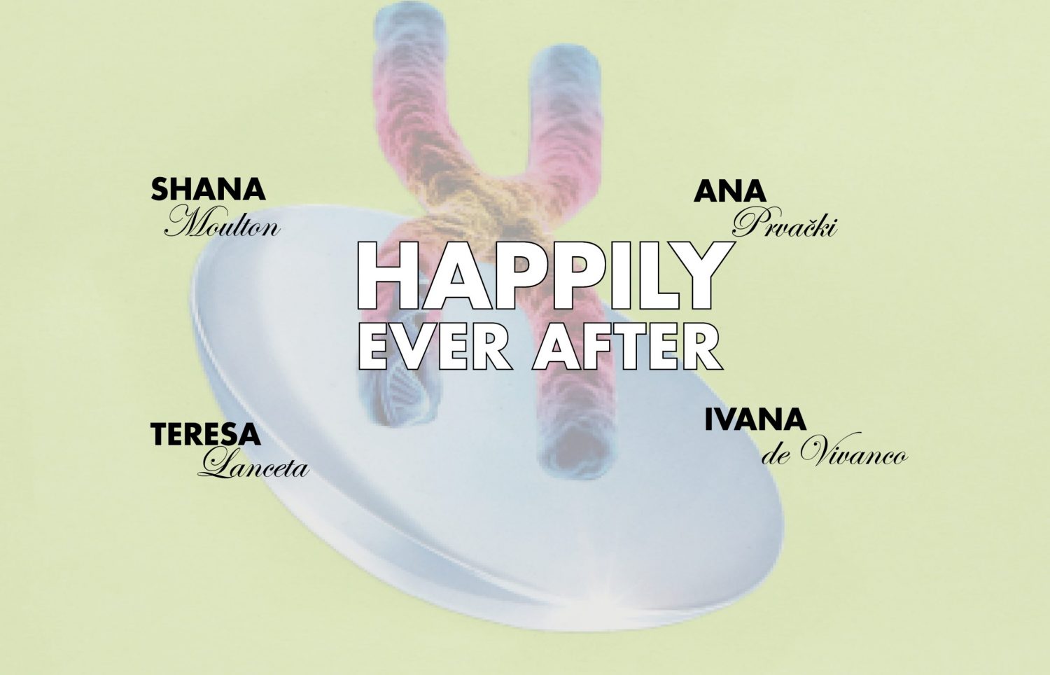 Happily Ever After
