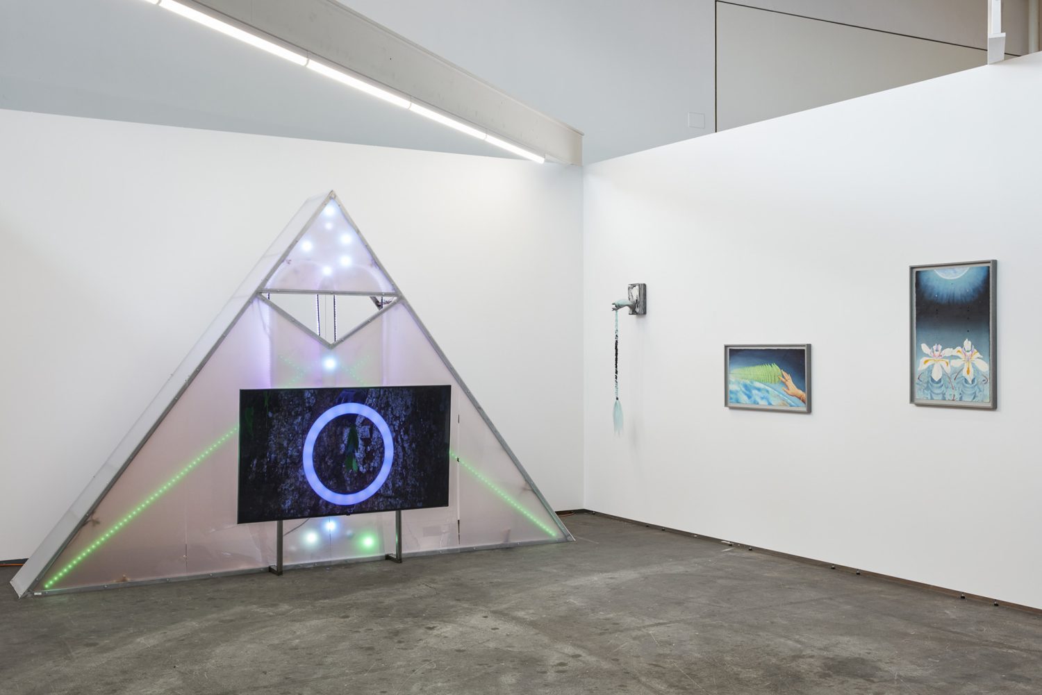 Patricia Domínguez: Matrix Vegetal